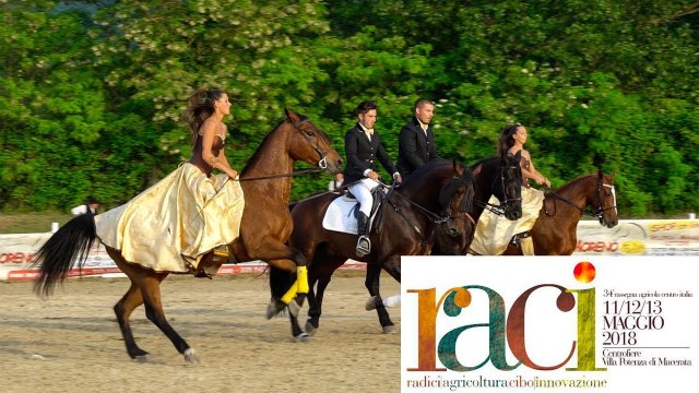 RACI 34a Edizione - Prima giornata (Macerata)